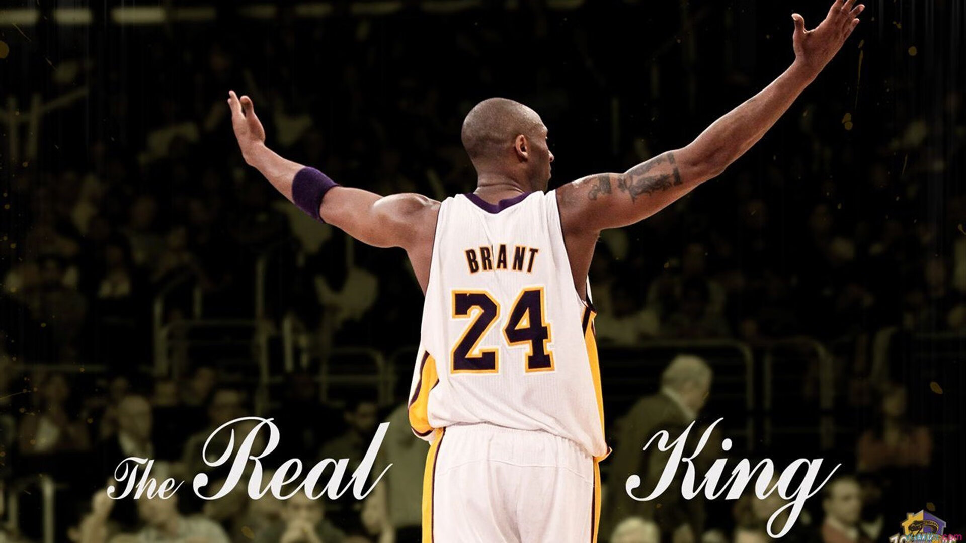 扎马莱克签约新外援，增强防守实力，马扎克lg